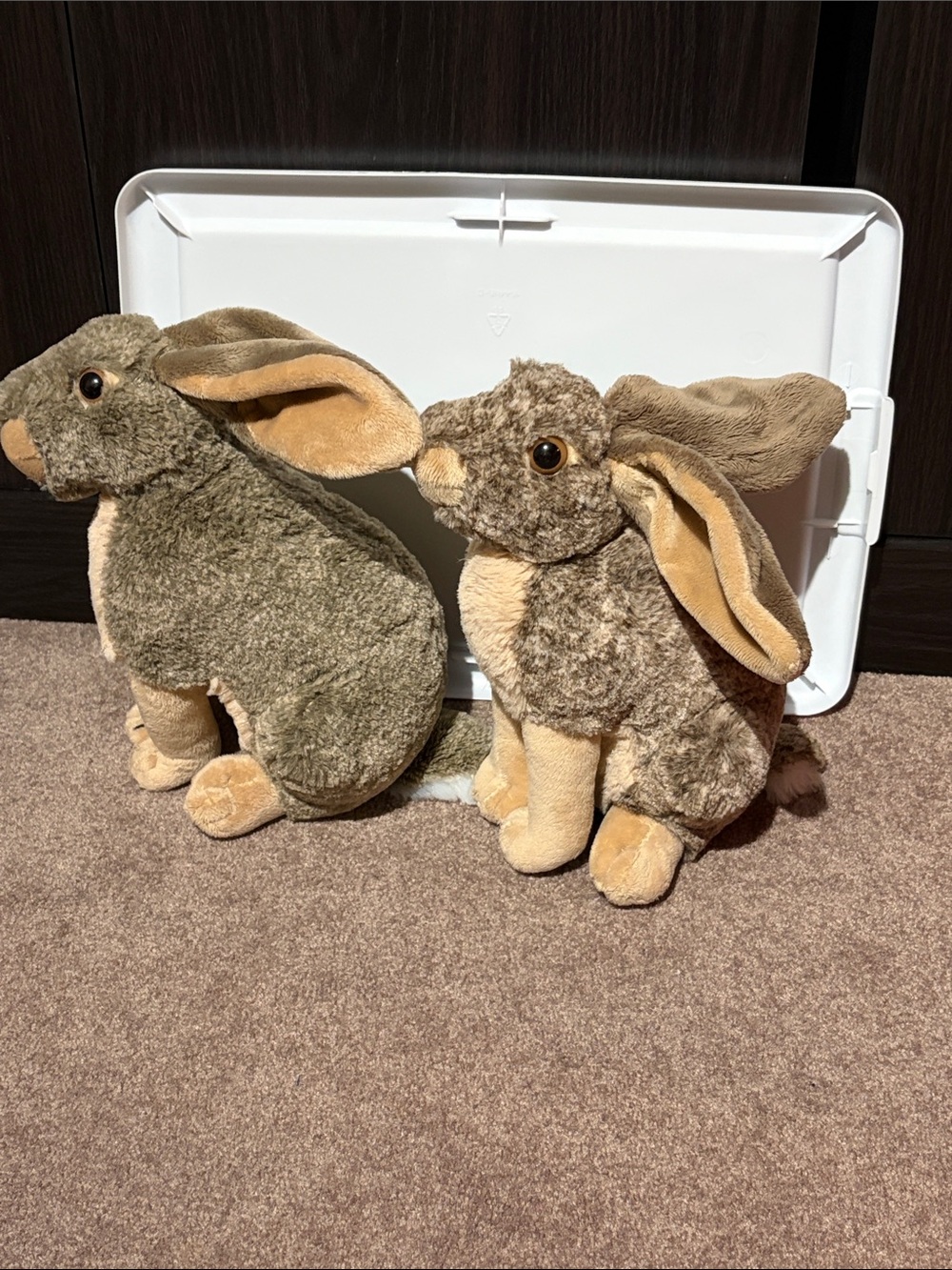 Plush Twin Jack Rabbits - Tan and Light Brown Soft Toys - Picture 2 of 5